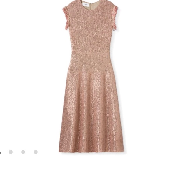 St John’s Sequin Knit Cap Sleeve Fit & Flare Dress W/ Fringe Trim Detail - Lined - Picture 3 of 9